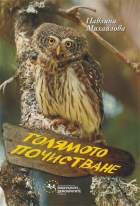 Корица