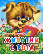 Корица