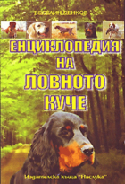 Корица