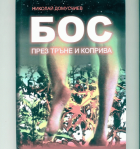 Корица