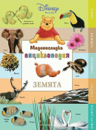 Корица
