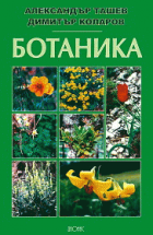 Корица