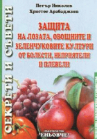 Корица