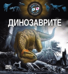 Корица