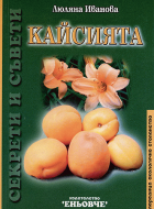 Корица