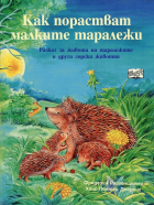 Корица