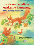 Корица
