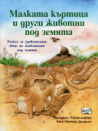 Корица
