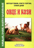 Корица