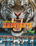 Корица