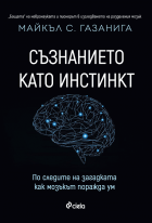 Корица