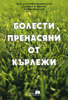 Корица