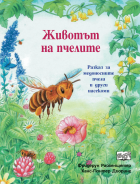 Корица