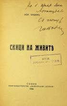 Корица