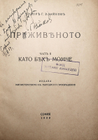 Корица