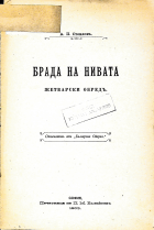 Корица