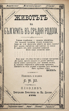 Корица