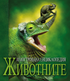 Корица