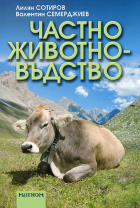 Корица