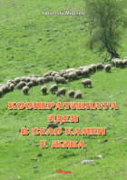 Корица