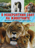 Корица