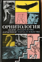 Корица