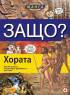 Корица
