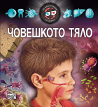 Корица