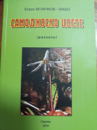 Корица