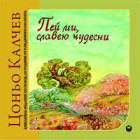 Корица