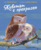 Корица