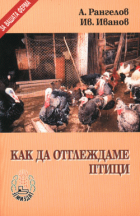 Корица
