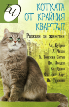 Корица