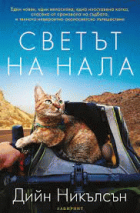 Корица