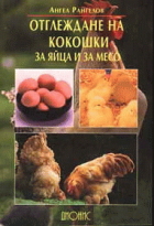 Корица