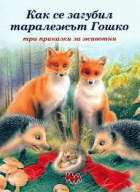 Корица