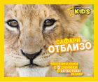 Корица