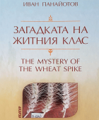 Корица