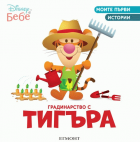 Корица
