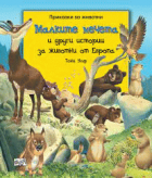 Корица