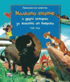 Корица