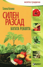 Корица