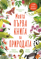Корица