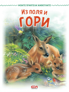 Корица