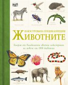 Корица