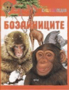 Корица