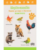 Корица