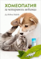 Корица